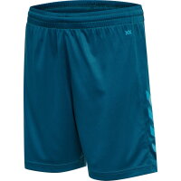 Hummel Herren-Shorts hmlCore XK Poly Shorts blue coral L