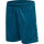 Hummel Herren-Shorts hmlCore XK Poly Shorts blue coral XL